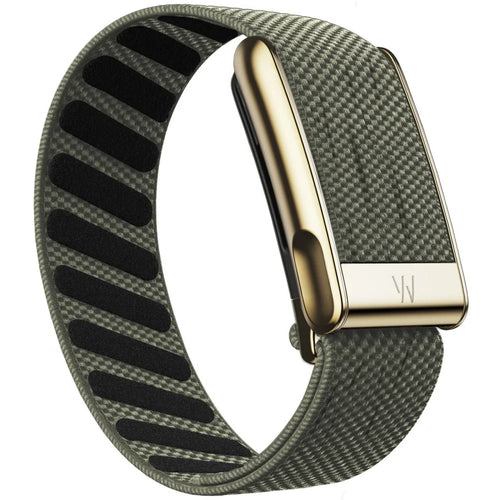 Whoop 5.0/ Whoop MG Wristband Gold Base
